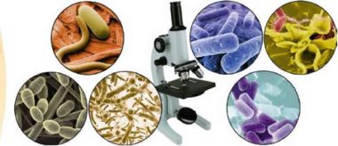 Інфекційні захворювання