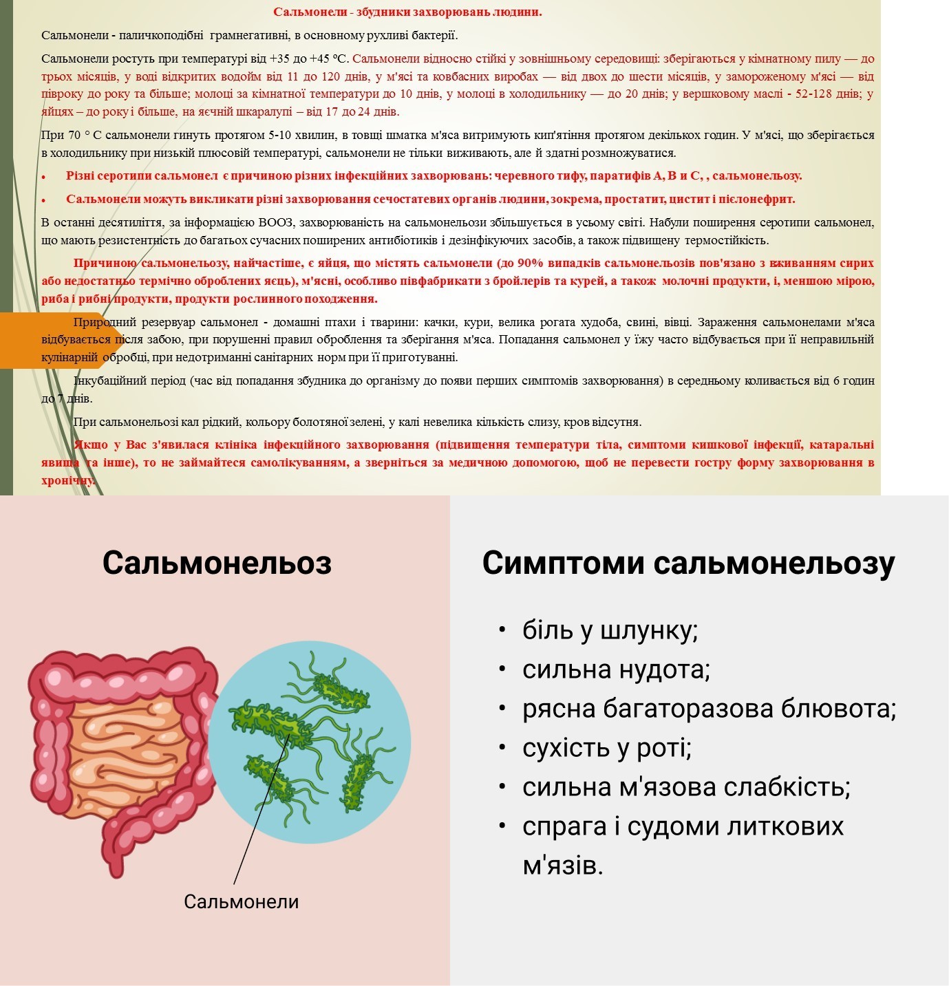 Сальмонели - збудники захворювань людини