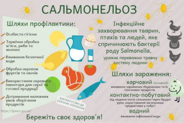 Сальмонели - збудники захворювань людини