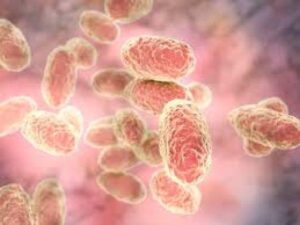 ЧАС ОБИРАТИ ЗДОРОВ'Я